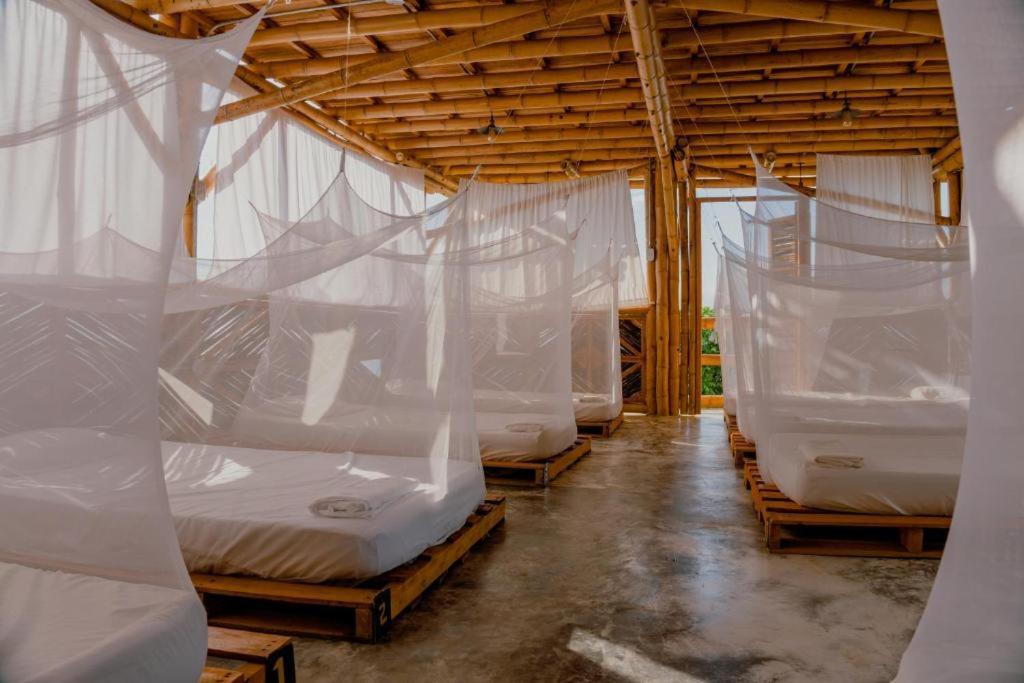Niuwi Hostel Buritaca Kültér fotó